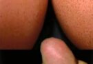 9 The Amazing Innocent Photos That Prove You Have A Dirty, Dirty Mind #15