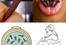 The Ultimate Guide to Cloves: Benefits, Uses, and How They Work