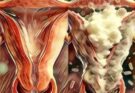These are the consequences of having sex… See more👇