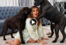 Melania Trump hospitalized after having…See more